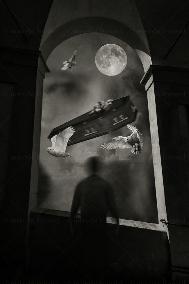 photography conceptual surrealism darkmood oneiric black and white dreamlike ghost moon owl coffin window marcelo leonard