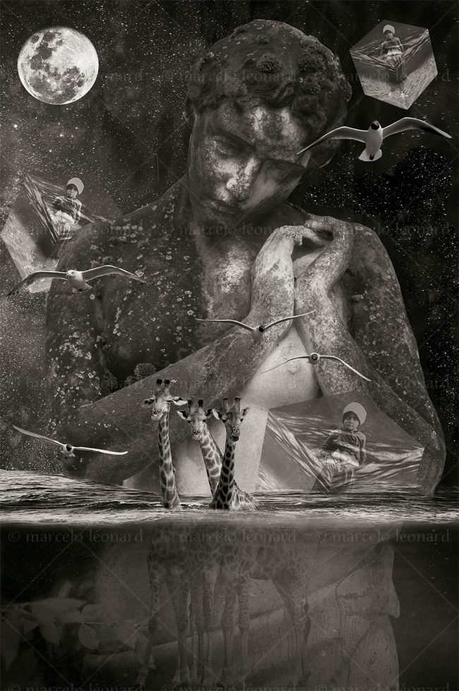 photography conceptual surrealism darkmood oneiric black and white dreamlike underwater giraffe statue dove dice moon marcelo leonard