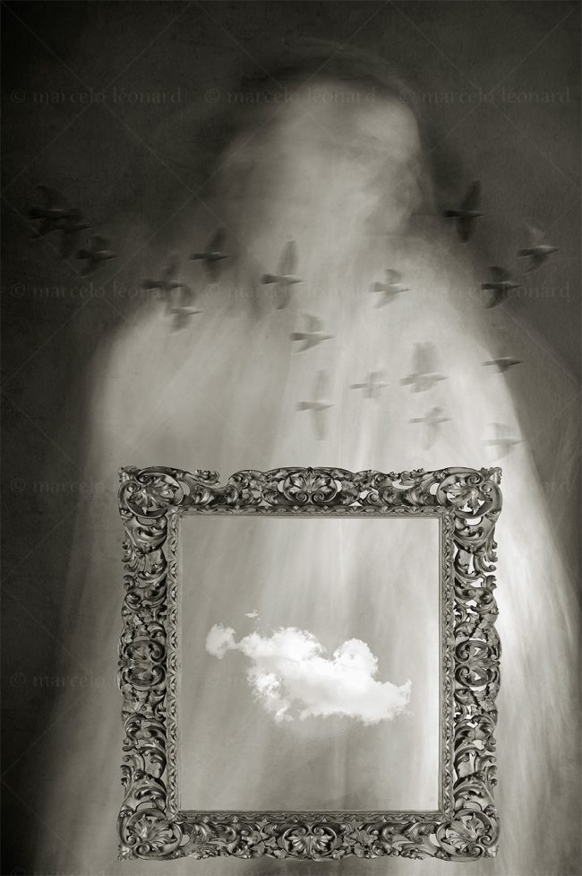 photography conceptual surrealism darkmood oneiric black and white dreamlike ghost dove frame blurred marcelo leonard