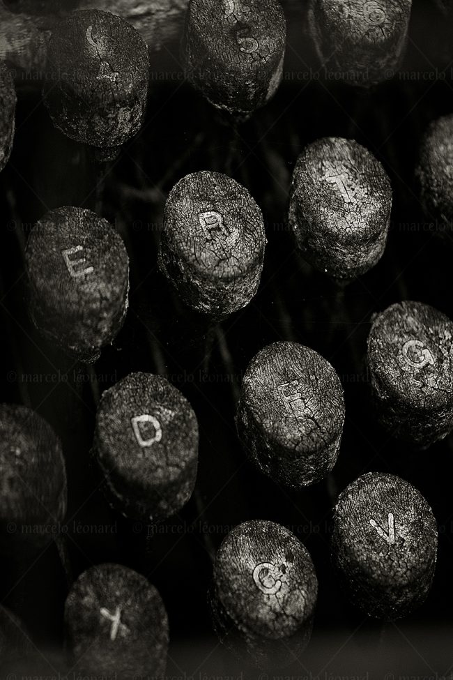 decay keyboard marcelo leonard