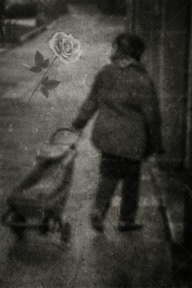 abs 07 absences blurred people street photography rose marcelo leonard