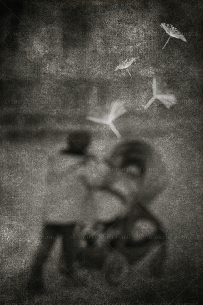 abs 09 absences blurred people street photography dandelion marcelo leonard