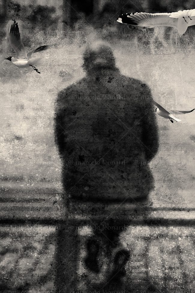 abs 10 absences blurred people street photography seagulls marcelo leonard