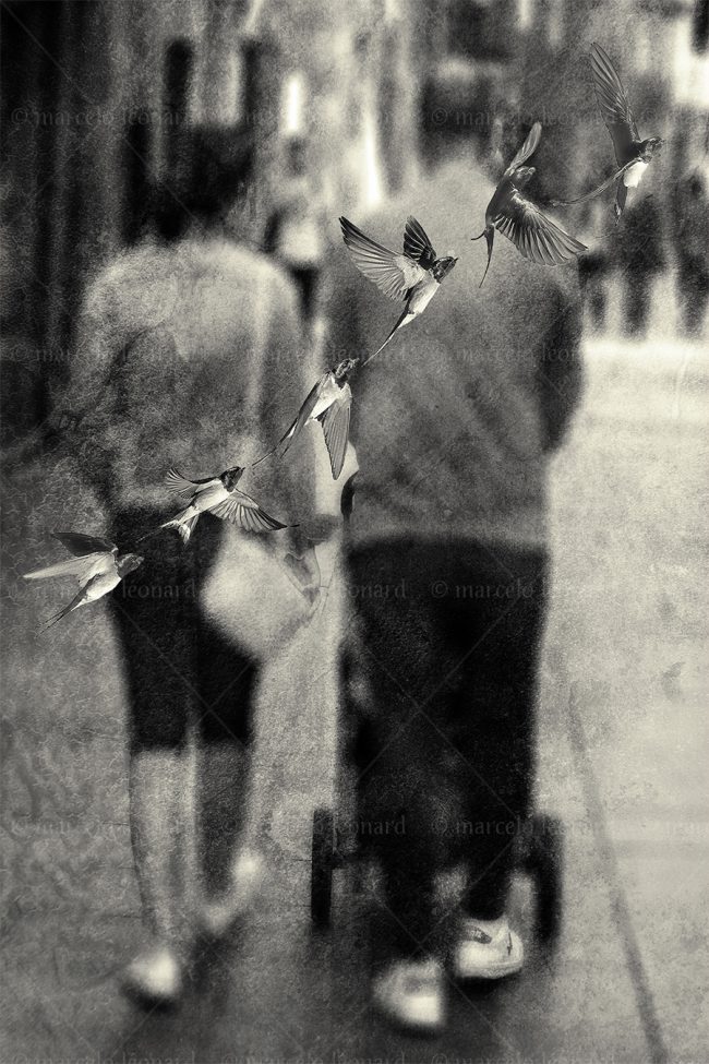abs 11 absences blurred people street photography birds marcelo leonard