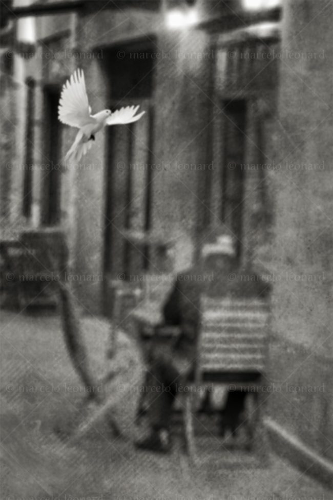 abs 12 absences blurred people street photography dove marcelo leonard