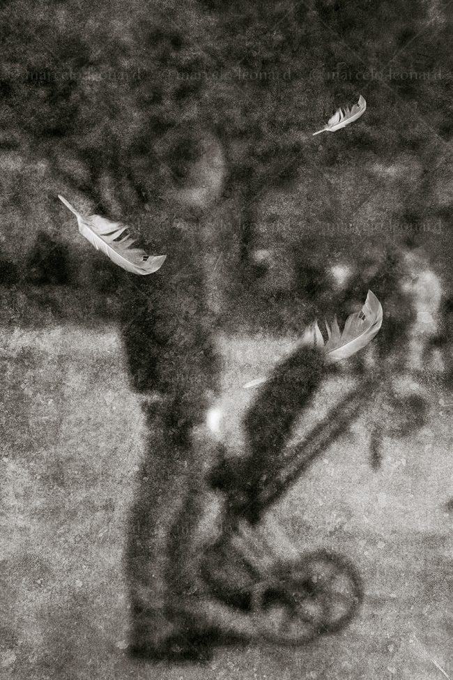 abs 14 absences blurred people street photography feathers marcelo leonard