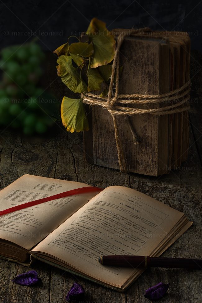 bg 04 bygone days memories decay old book rope pen marcelo leonard