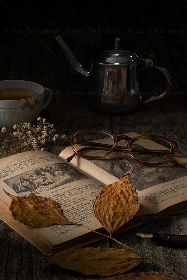 bg 05 bygone days memories decay old book eyeglasses marcelo leonard