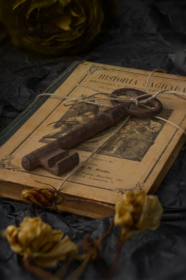 bg 13 bygone days memories old book key decay flower marcelo leonard