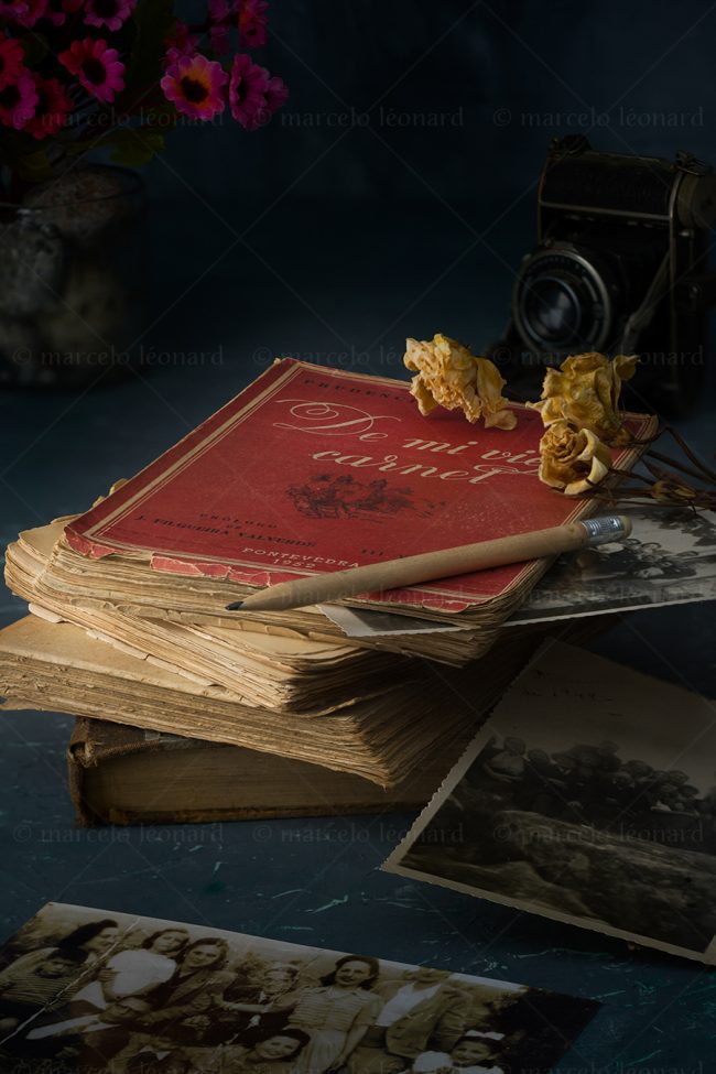 bg 15 bygone days memories old book pictures marcelo leonard