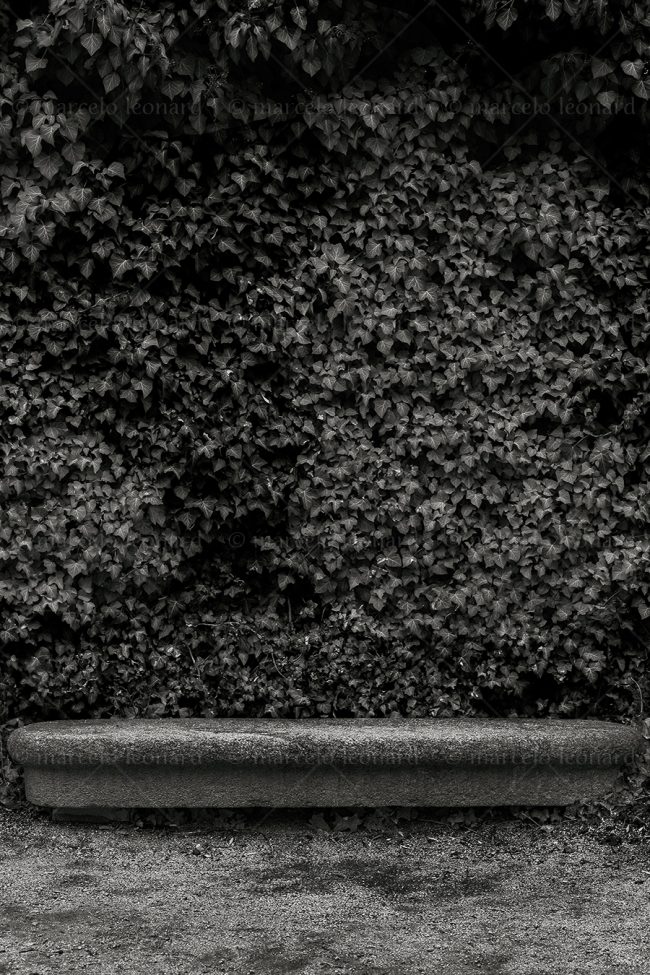 bs11 photography conceptual surrealism darkmood oneiric black and white dreamlike bush stone benchmarcelo leonard