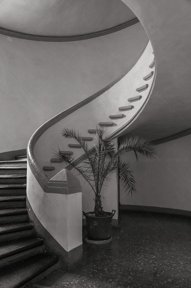 bs20 photography conceptual surrealism darkmood oneiric black and white dreamlike stairs palm tree marcelo leonard
