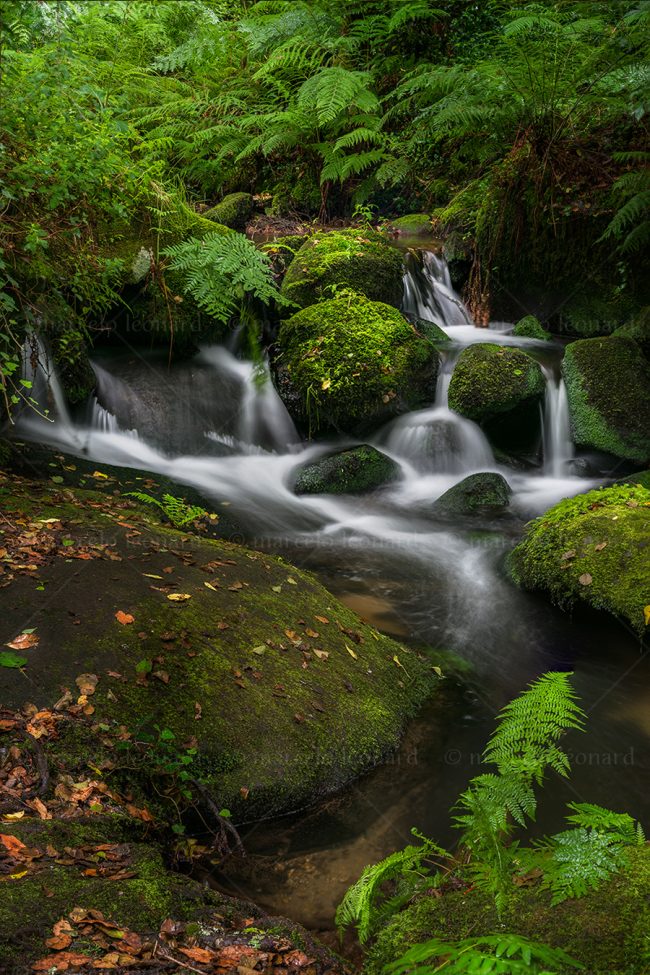 c01 waterfall creek fern long exposure landscape river mindfulness marcelo leonard