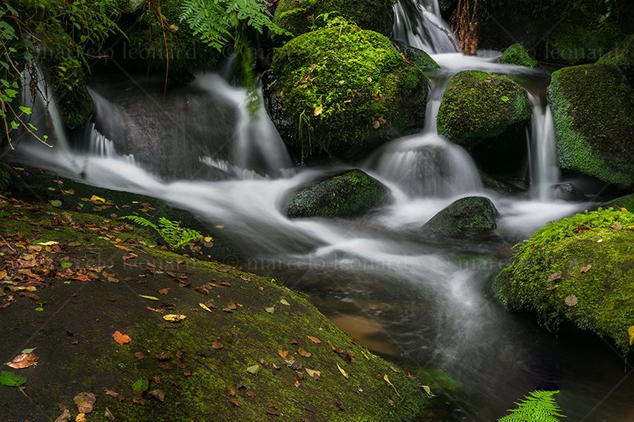 c01 waterfall creek fern long exposure landscape river mindfulness marcelo leonard