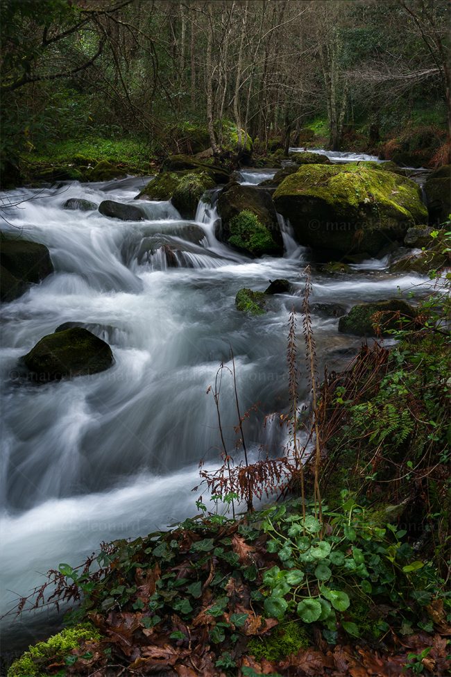 c02 waterfall creek moss long exposure landscape river mindfulness marcelo leonard