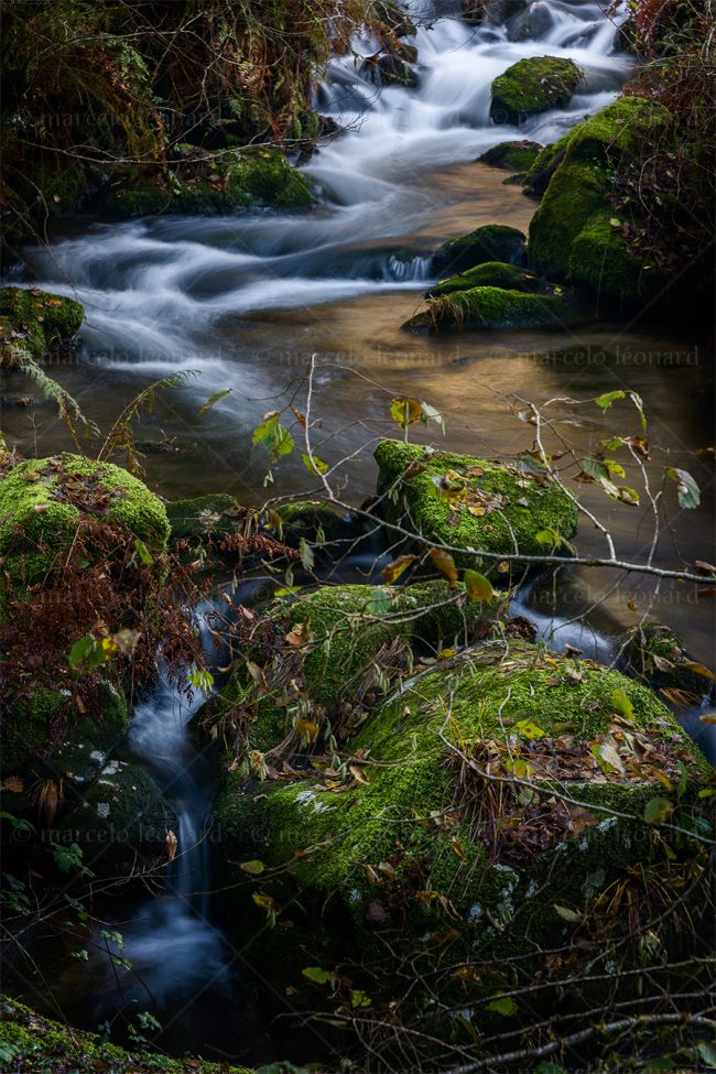 c03 waterfall creek long exposure landscape river mindfulness marcelo leonard