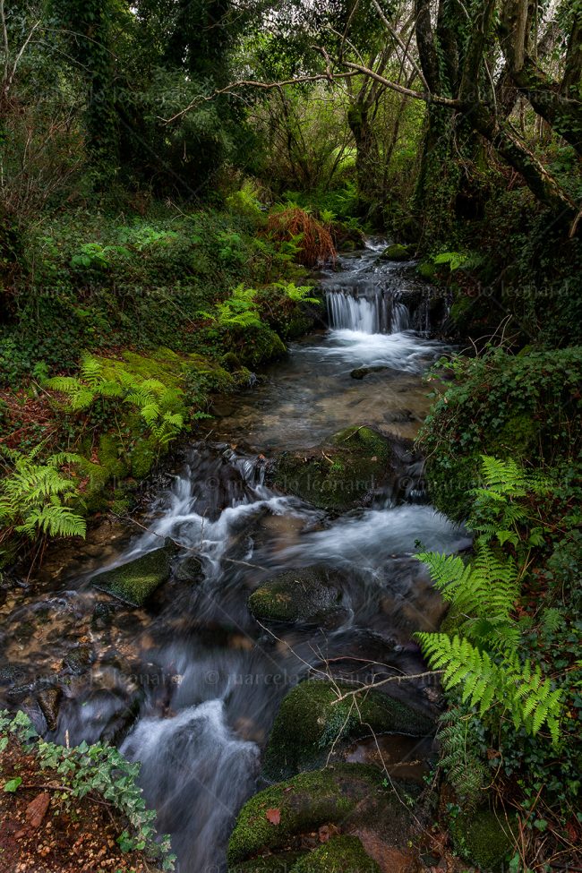 c05 waterfall creek fern long exposure landscape river mindfulness marcelo leonard
