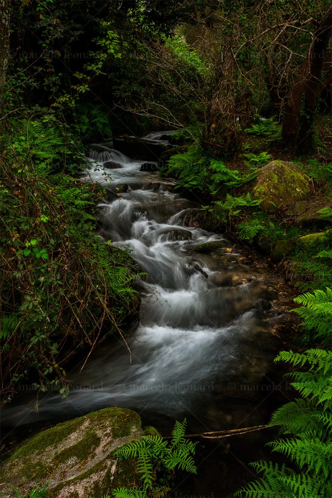 c06 waterfall creek fern long exposure landscape river mindfulness marcelo leonard