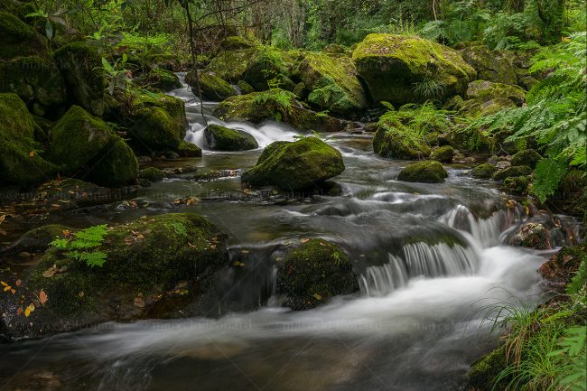 c08 waterfall creek moss long exposure landscape river mindfulness marcelo leonard