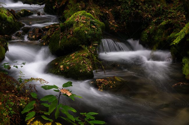 c09 waterfall creek long exposure moss landscape river mindfulness marcelo leonard