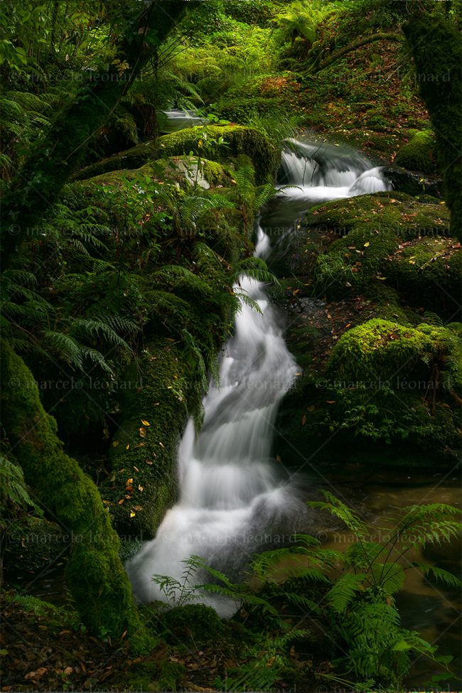 c10 waterfall creek moss long exposure landscape river mindfulnesss marcelo leonard