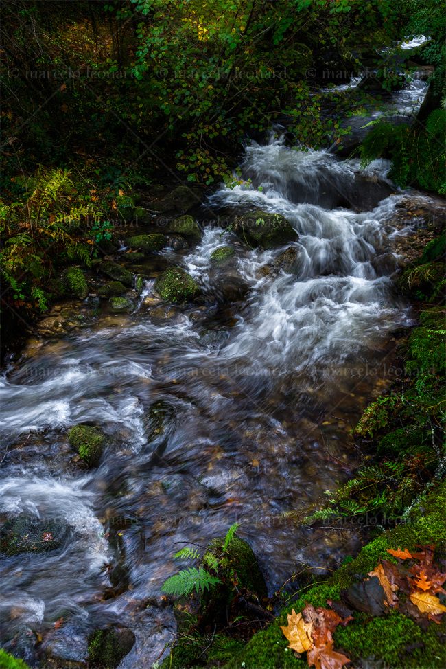c13 waterfall creek moss autumn landscape river long exposure mindfulness marcelo leonard