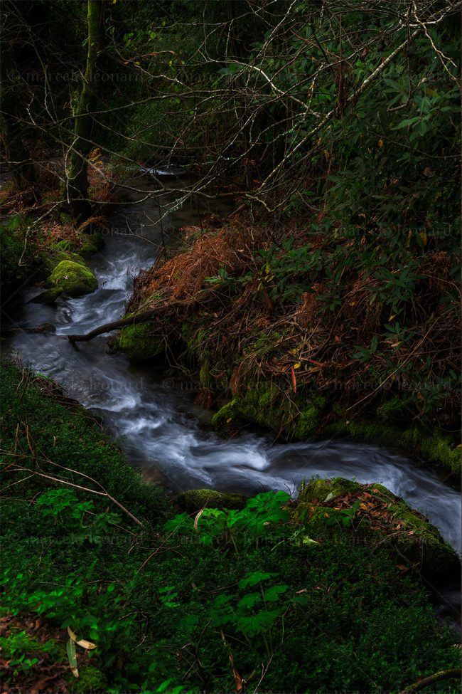 c14 waterfall creek autumn long exposure landscape river mindfulness marcelo leonard
