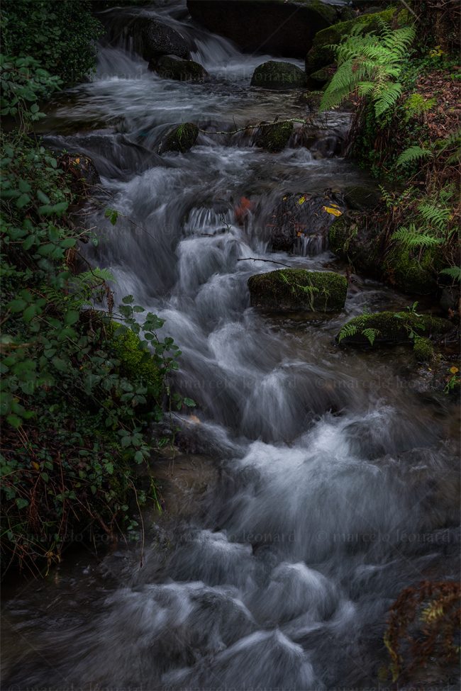 c15 waterfall creek long exposure fern landscape river mindfulness marcelo leonard