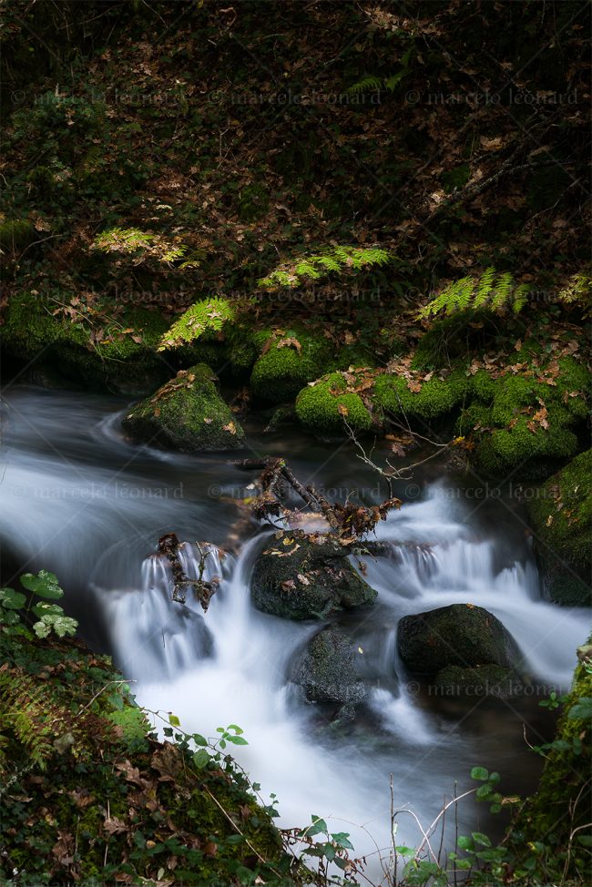 c16 waterfall creek lfern ong exposure landscape river mindfulness marcelo leonard