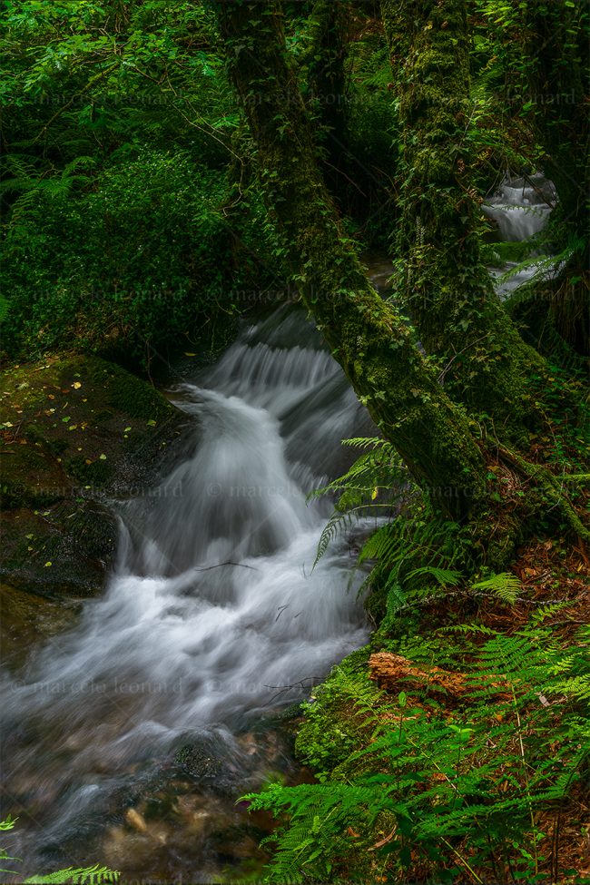 c17 waterfall creek fern long exposure landscape river mindfulness marcelo leonard