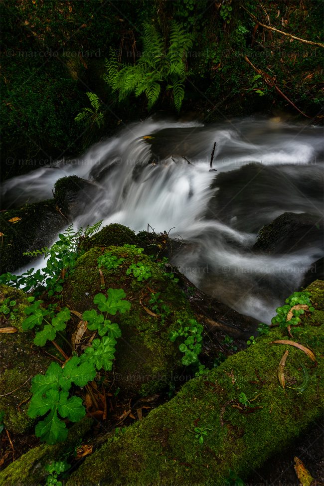 c18 waterfall creek long exposure landscape river mindfulness marcelo leonard