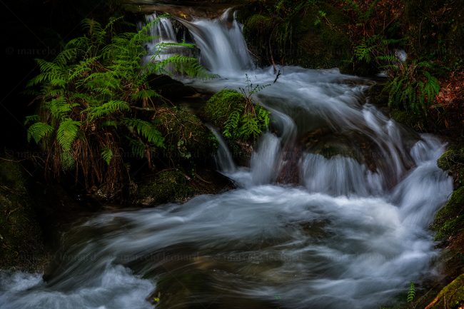 c19 waterfall creek fern long exposure landscape river mindfulness marcelo leonard