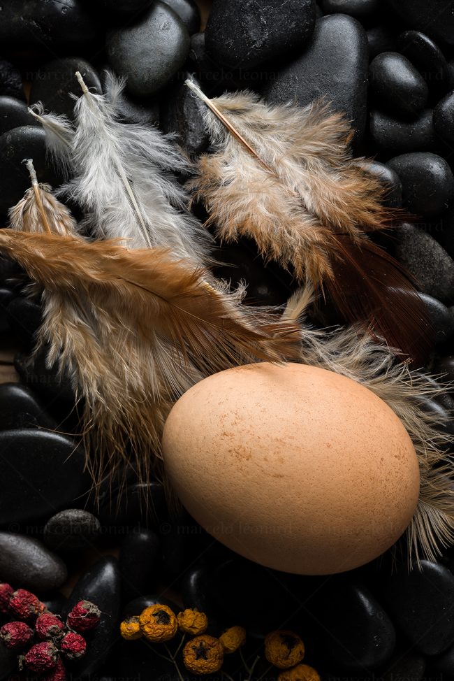 f01 naturaleza muerta bodegon still life studio lighting tabletop food photography egg feather marcelo leonard