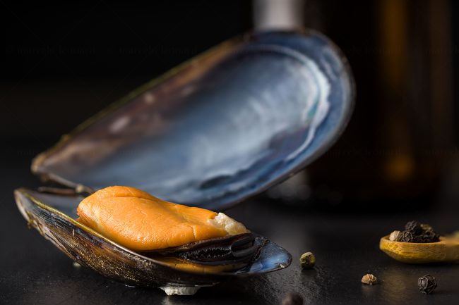f19 naturaleza muerta bodegon still life studio lighting tabletop food photography mussel pepper marcelo leonard