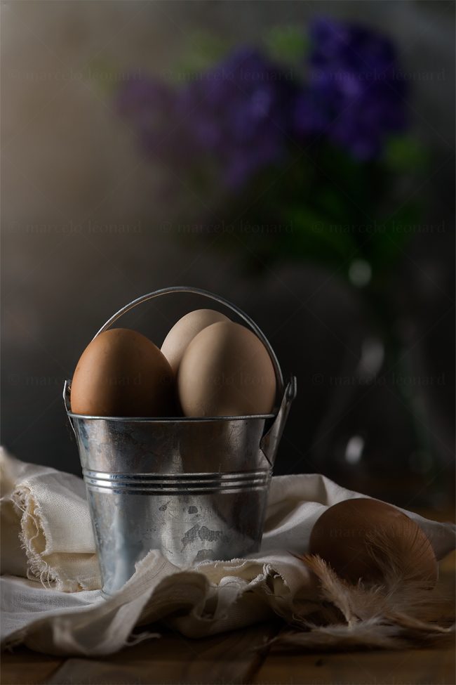 f23 naturaleza muerta bodegon still life studio lighting tabletop food photography egg bouquet marcelo leonard
