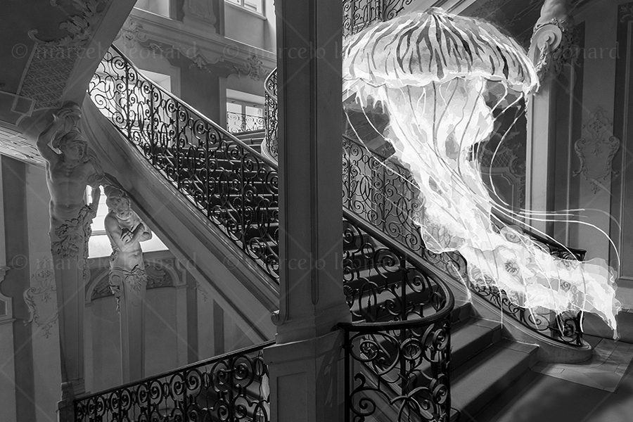 noy01 photography conceptual surrealism darkmood oneiric black and white dreamlike stairs jellyfish marcelo leonard