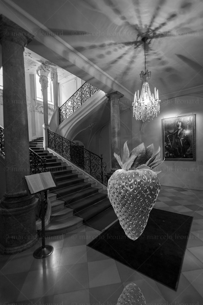 noy08 photography conceptual surrealism darkmood oneiric black and white dreamlike stairs strawberry marcelo leonard