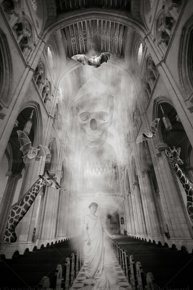 os05 photography conceptual surrealism darkmood oneiric black and white dreamlike church bat giraffe skull marcelo leonard