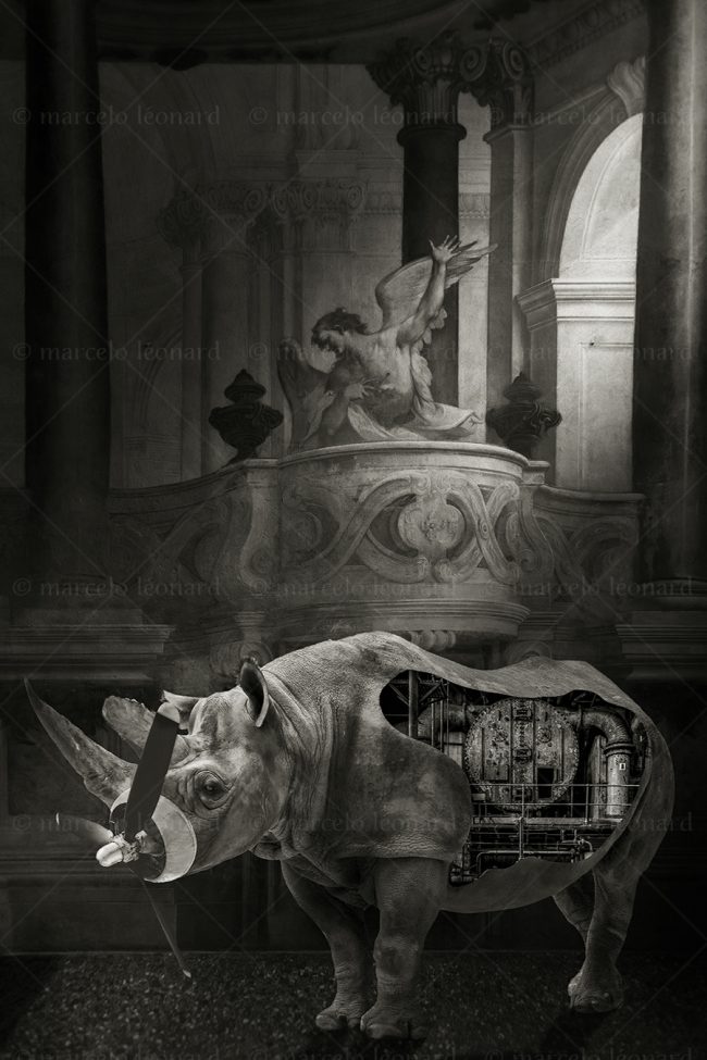 os11 photography conceptual surrealism darkmood oneiric black and white dreamlike cyborg church trompe l'oeil rhinoceros marcelo leonard