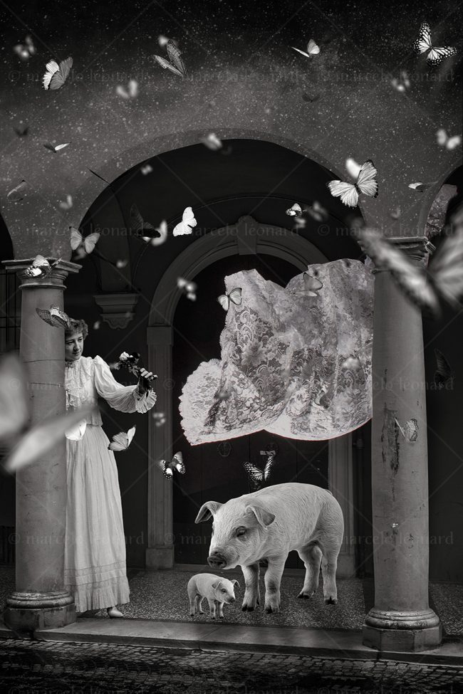 os14 photography conceptual surrealism darkmood oneiric black and white dreamlike woman butterrfly pig column marcelo leonard