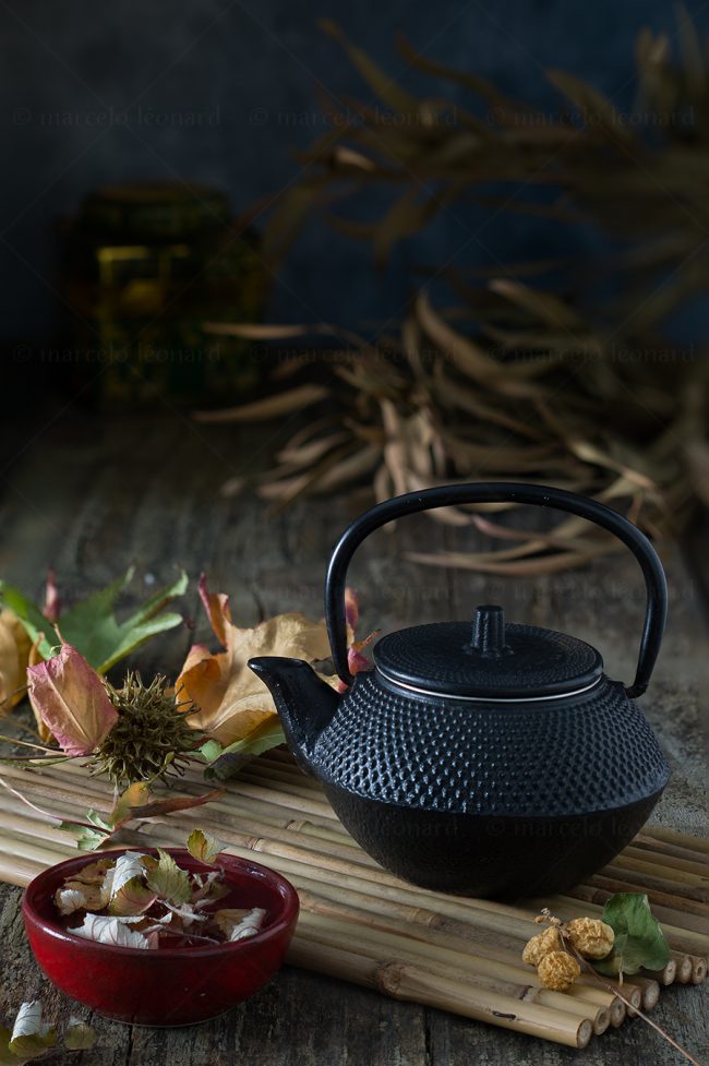 tp08 still life studio lighting tabletop food photography iron teapot marcelo leonard
