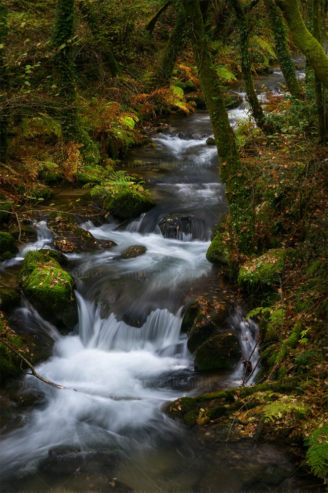 cr 03 waterfall creek autumn long exposure river mindfulness marcelo leonard