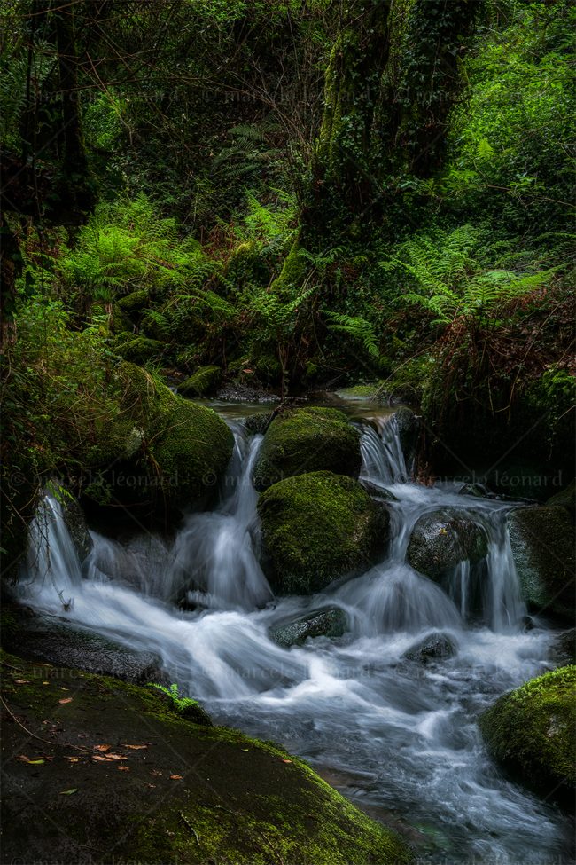 cr 04 waterfall creek long exposure mindfulness river marcelo leonard