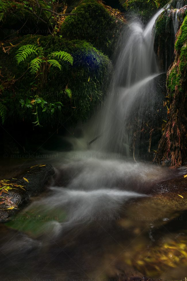 cr 05 waterfall creek long exposure river mindfulness marcelo leonard
