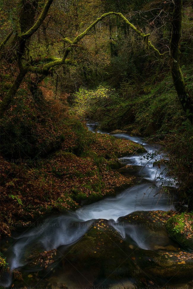 cr 07 waterfall autumn creek long exposure river mindfulness marcelo leonard