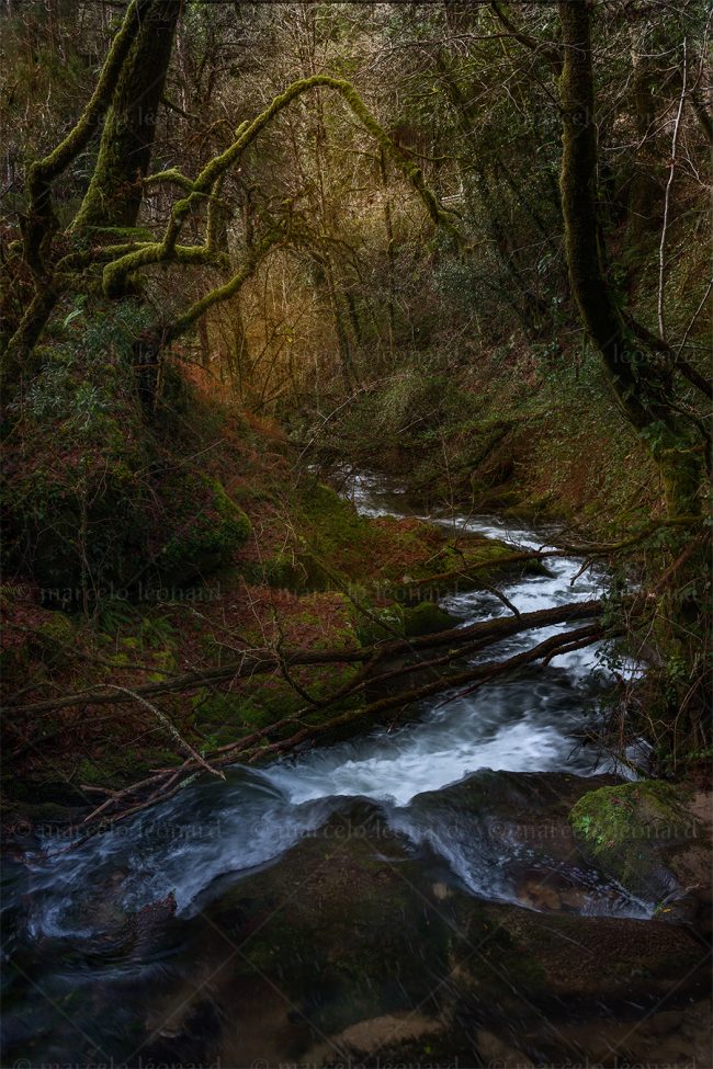 cr 09 waterfall creek long exposure autumn river mindfulness marcelo leonard