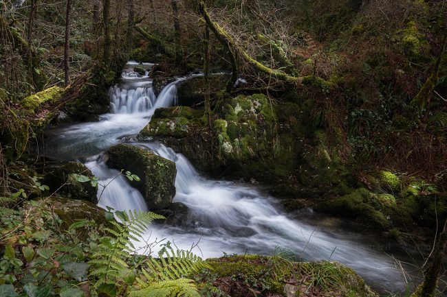 cr 10 waterfall creek fern long exposure river mindfulness marcelo leonard