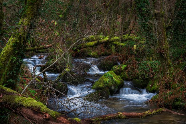 cr 11 waterfall moss creek long exposure river mindfulness marcelo leonard