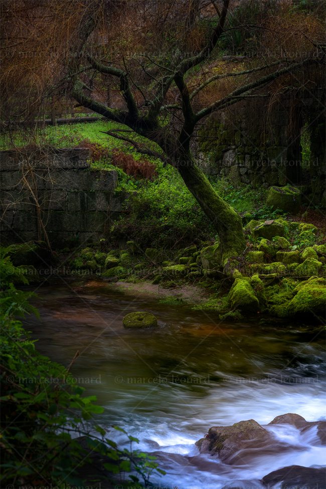 cr 13 waterfall creek long exposure mindfulness marcelo leonard
