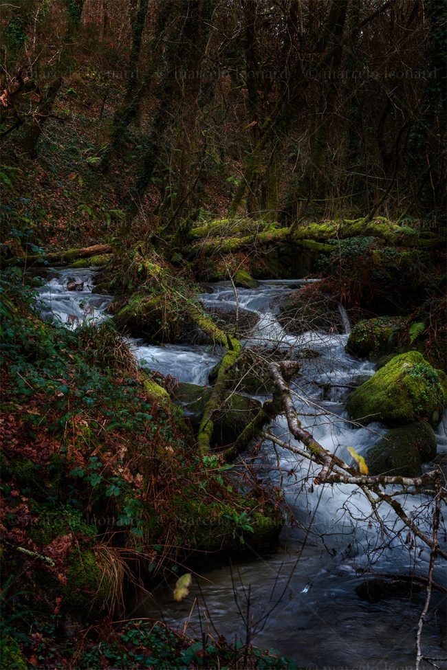 cr 15 waterfall creek long exposure river mindfulness marcelo leonard